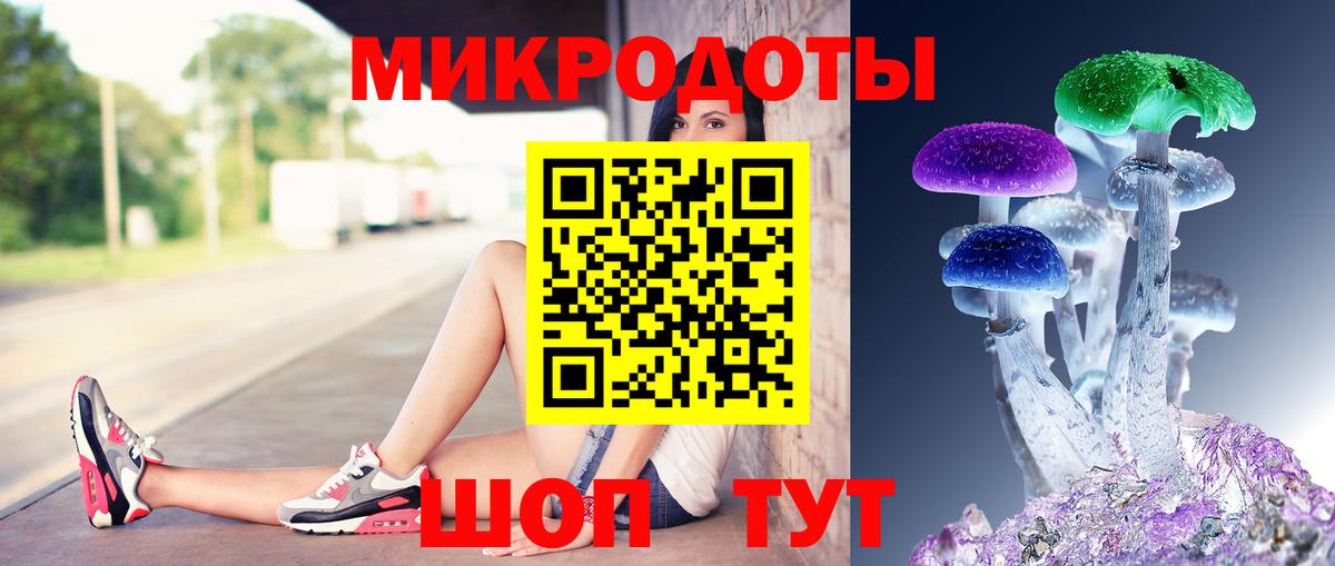 Псилоцибиновые грибы GOLDEN TEACHER Скопин